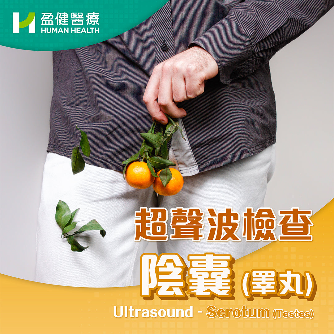 Ultrasound-Scrotum(Testes) (U00)