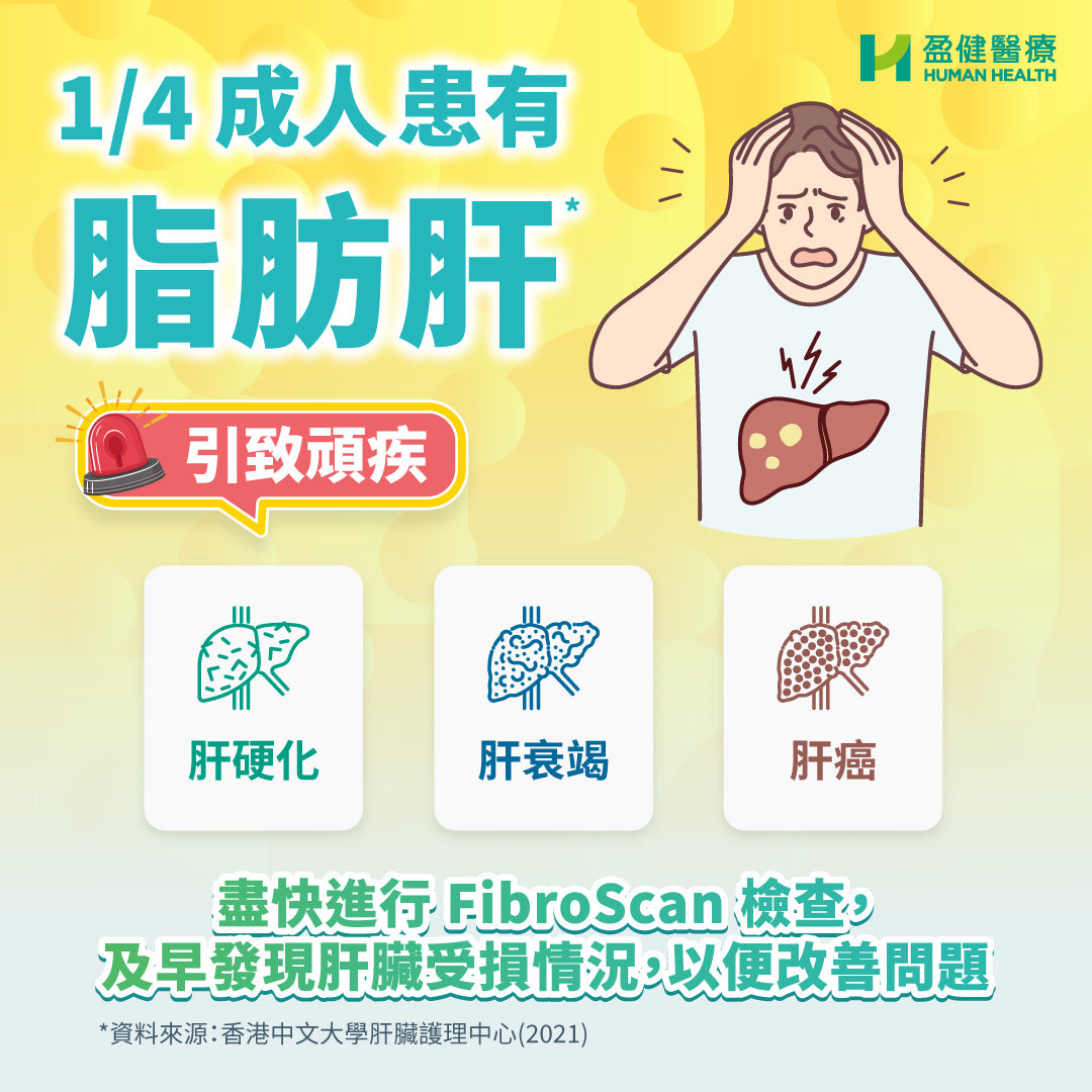 FibroScan®肝纖維化掃描 (HHU85)-尖沙咀限定
