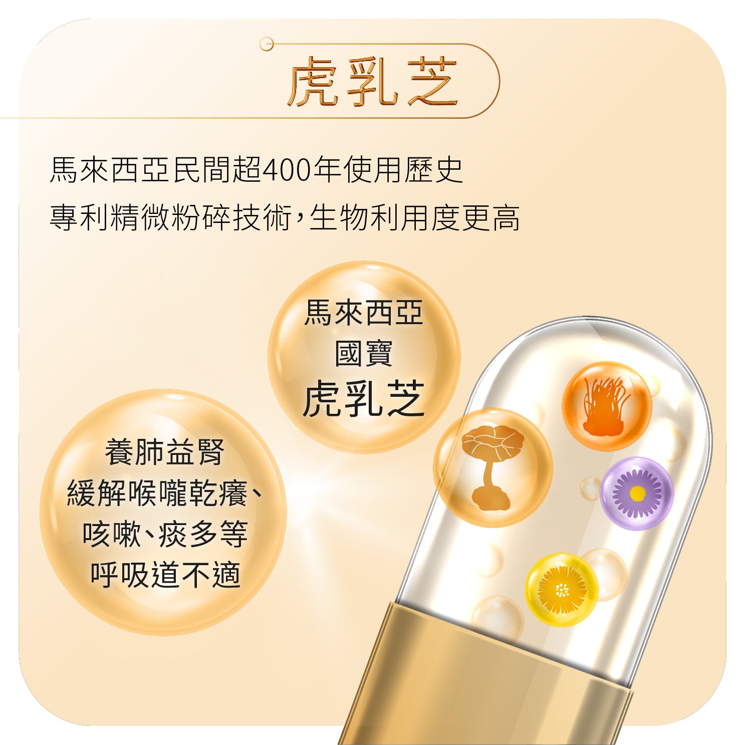 YOU ORIGIN® Cordyceps Tiger Milk Capsules 60s (R-ORI009)