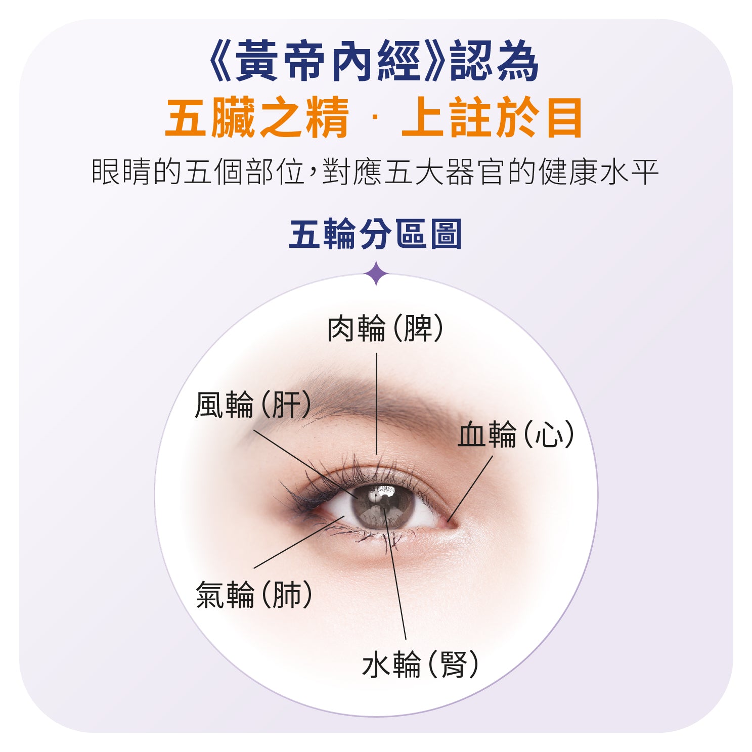 YOU ORIGIN® EYE+ Bilberry Complex Capsule 100s (R-ORI007)