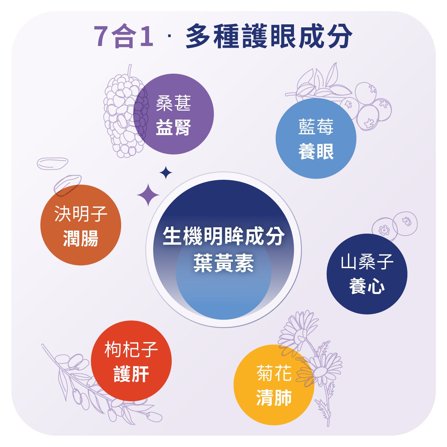 YOU ORIGIN® EYE+ Bilberry Complex Capsule 100s (R-ORI007)