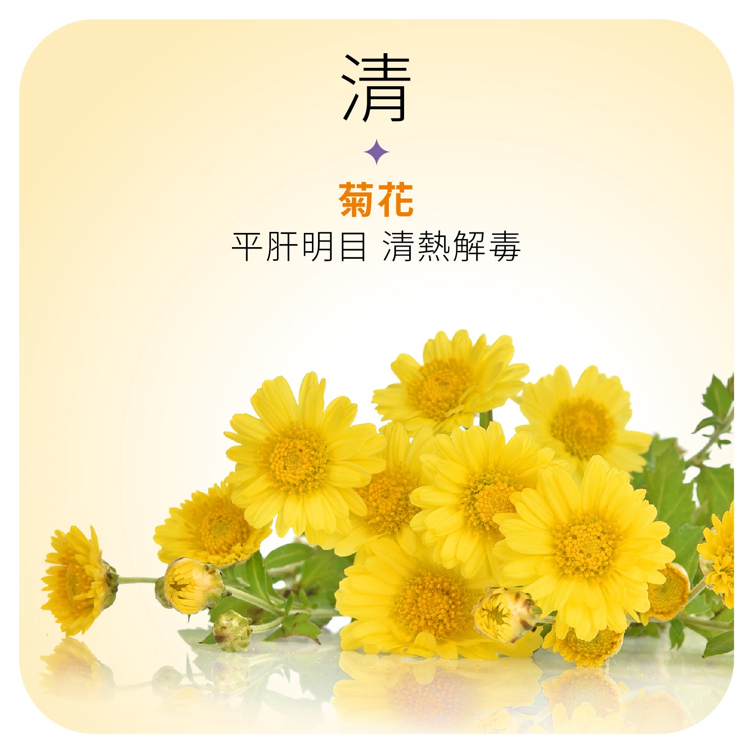 YOU ORIGIN® EYE+ Bilberry Complex Capsule 100s (R-ORI007)