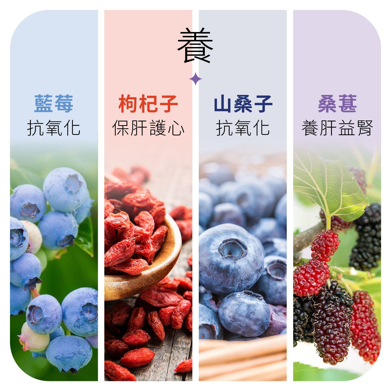 YOU ORIGIN® EYE+ Bilberry Complex Capsule 100s (R-ORI007)