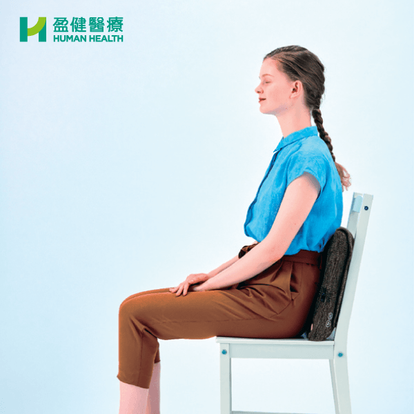 Lourdes Wpro 按摩抱枕 (AX-HCL338-Procure) - 盈健醫療 - 搜羅不同類型健康產品及服務